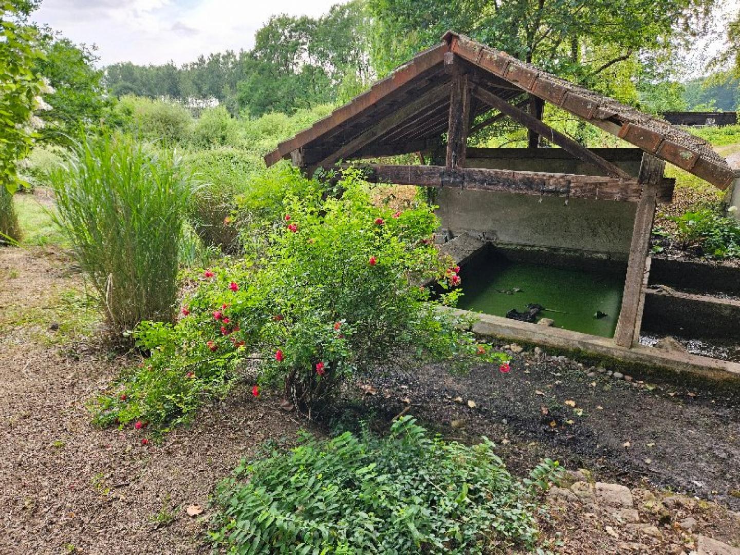lavoir fleuri